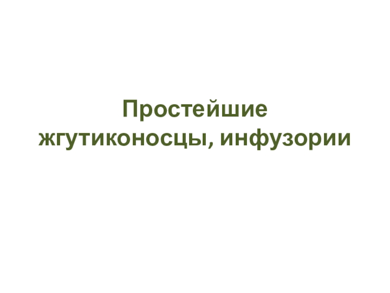 Презентация на тему жгутиконосцы 7 класс