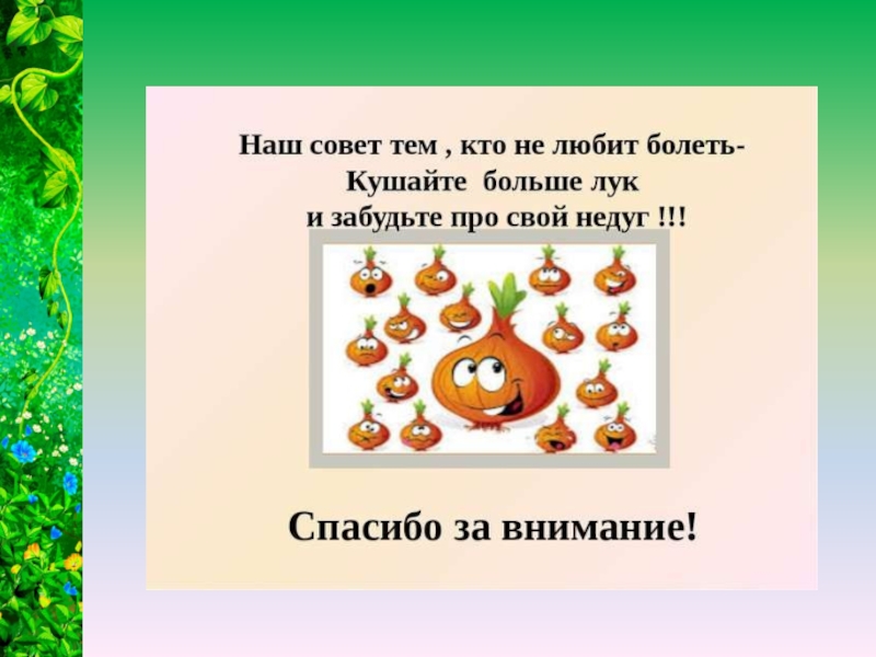 План лук от семи недуг надеждина