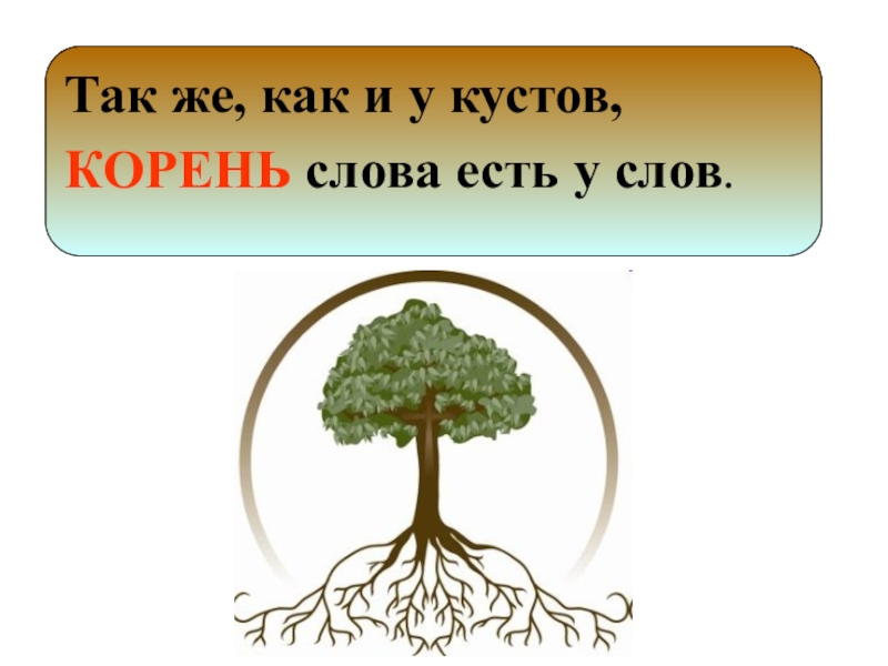 Корень в слове всегда. Корень слова. Корень слова корень. Корень куста и корень слова. Слова с корнем слов.