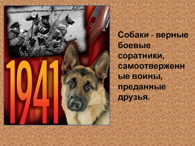 Верный боевым традиция. Самые боевые и верные собаки. Собака верный друг. Боевой соратник. Верные книга про собак.