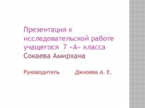 Проект исследовательской работы по русскому языку