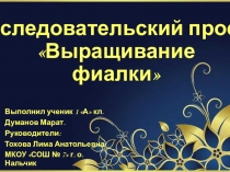 Презентация по окружающему миру на тему Выращивание фиалки( 2 класс)