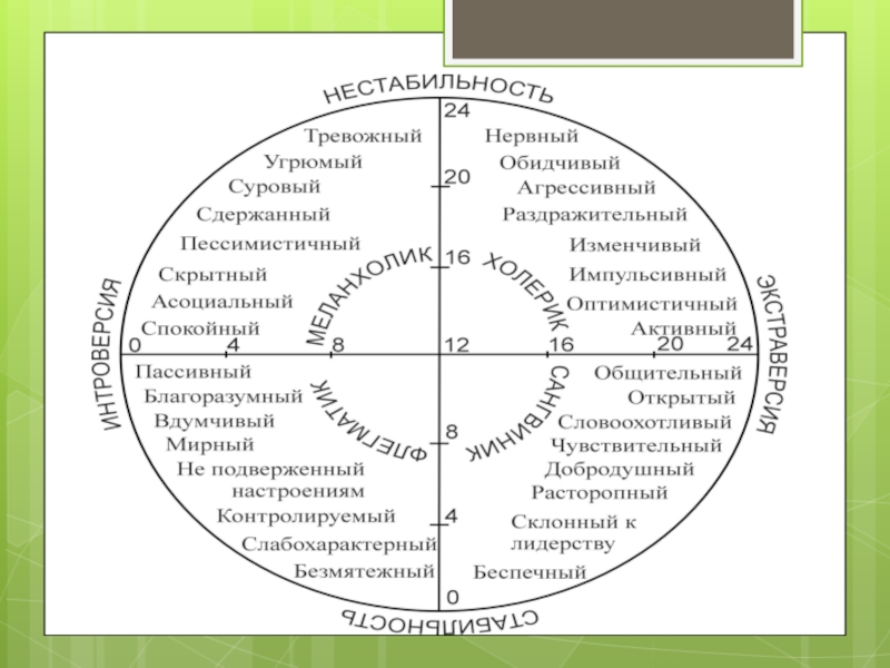 Проект темперамент и моя будущая профессия