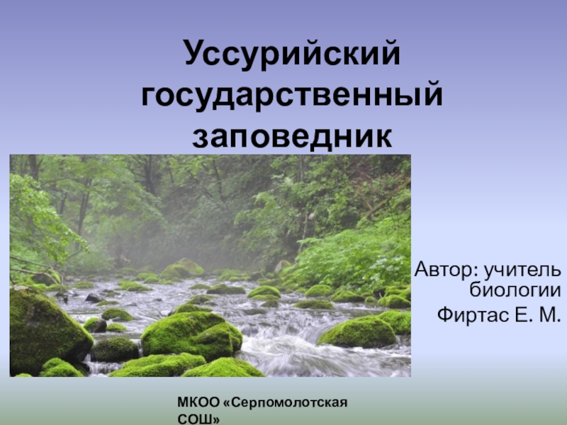 Уссурийский заповедник презентация 8 класс