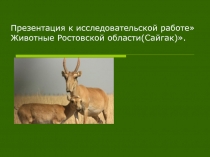 Презентация Животные Ростовской области (сайгак)