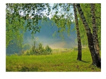 Презентация по экологии День Земли