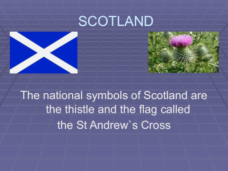 What is the symbol of scotland