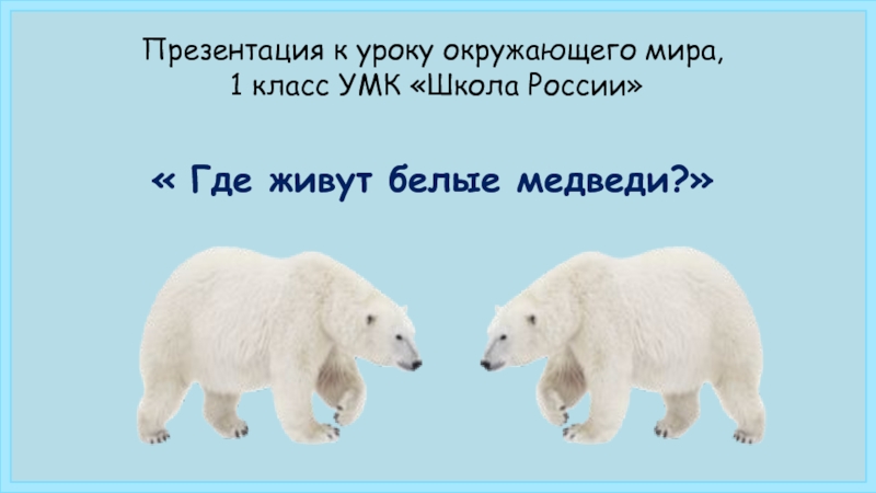 Презентация Презентация + конспект урока по окружающему миру на тему Где живут белые медведи? (1 класс Школа России)