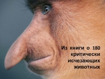 Презентация по биологии ИСЧЕЗАЮЩИЕ ЖИВОТНЫЕ