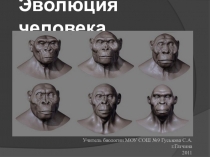 Презентация по биологии Эволюция человека