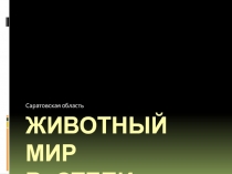 Презентация по биологическому краеведению Животные степи. Саратовская область
