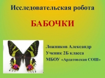 Презентация к исследовательской работе Бабочки