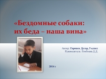 Презентация проекта Бездомные собаки
