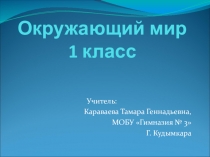 Тема Зачем нужны автомобили, 1 класс, окружающий мир, Караваева Т.Г.