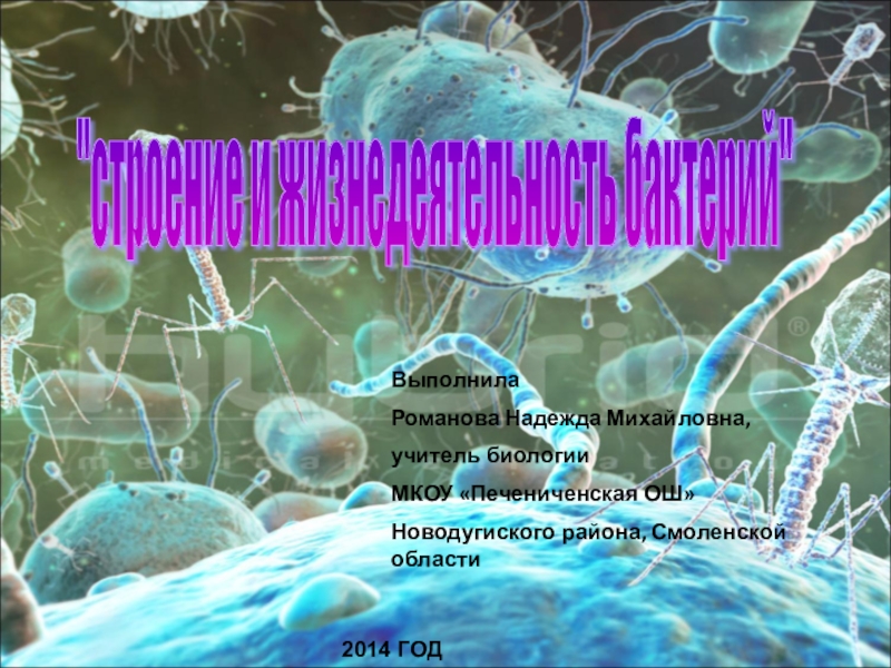 Презентация строение и жизнедеятельность бактерий 7 класс