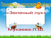 познавательно_исследовательский проект Зеленый лук