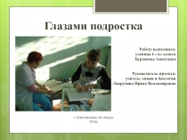 Презентация по теме Глазами подростка