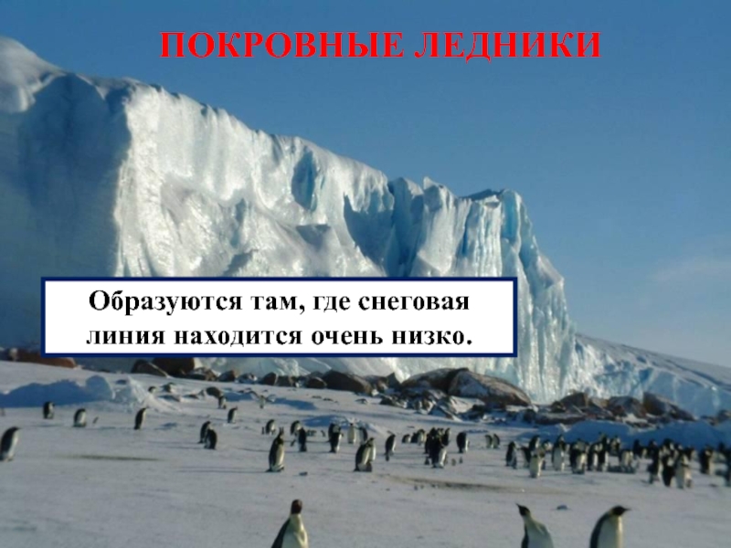 Ледники снеговая линия. Покровные ледники презентация. Где покровные ледники. Где образуются покровные ледники. Расположение покровных ледников.