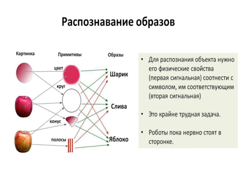 Физиологический образ. Опознание образов физиология. Распознавание образов на изображении. Детектирование сигналов и опознание образов физиология. Механизмы распознавания знакомых образов физиология.