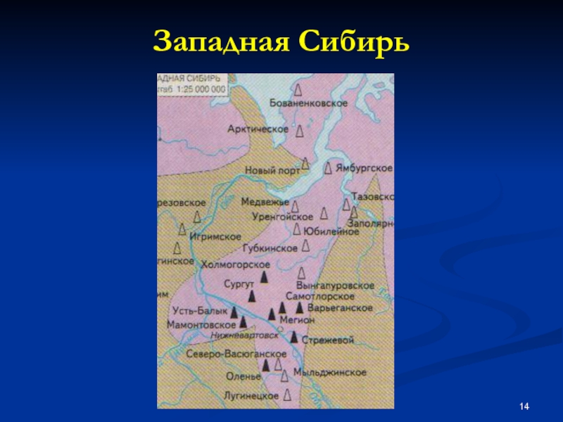 Западная сибирь нефть. Апатиты в Западной Сибири. Западная Сибирь города. Ахтарск Западная Сибирь. Ахтарск город Западная Сибирь.