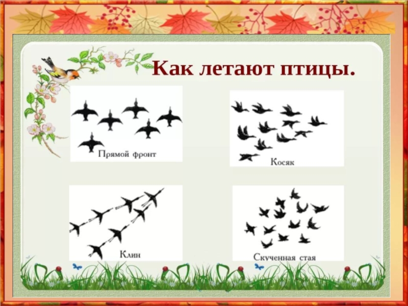 Рисунок стая птиц 2 класс изо