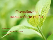 Презентация Съедобные и несъедобные грибы
