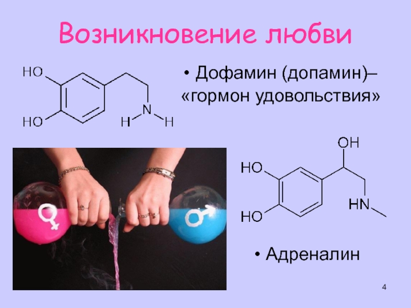 Гормон любви презентация