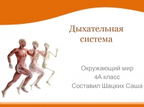 Презентация по физической культуре Дыхательная система
