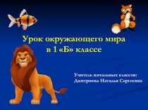 Презентация по окружающему миру на тему Животные - живые существа (1 класс)