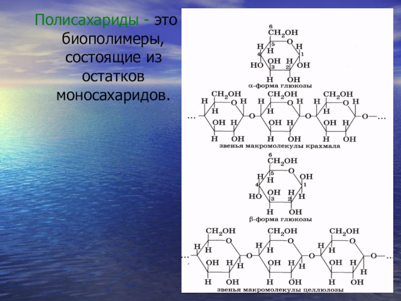 Полисахариды это. Биополимеры полисахариды. Биополимеры формула. Полисахариды состоят из остатков.