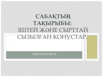 Презентация:Іштей және сырттай сызылған конустар(11 сынып)