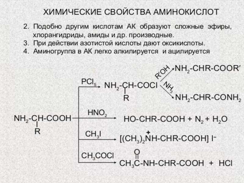 Свойства аминов кислотами. Химические свойства аминокислот уравнения реакций. Химические свойства аминокислот. Химические свойства аминокислот в химии. Аминокислоты химические свойства и получение.