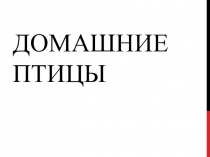 Презентация по познавательному развитию в средней группе Домашние птицы