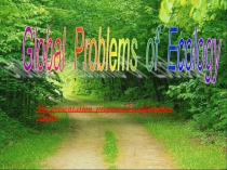 Презентация Экологический проект на английском языке