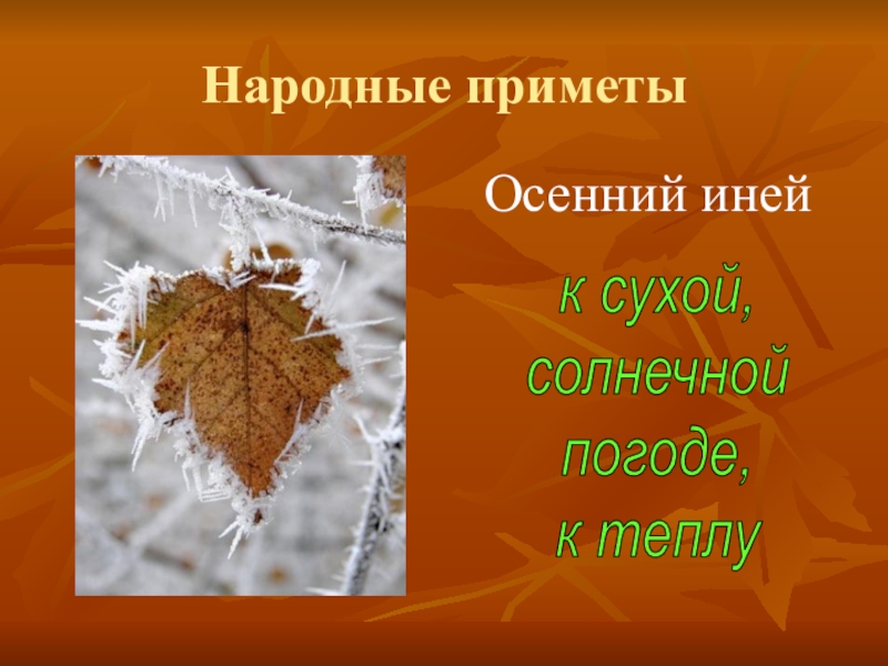 Народные приметы картинки. Народные приметы. Народные приметы рисунок. Народные приметы рисунки детей. Народные приметы осенний иней.