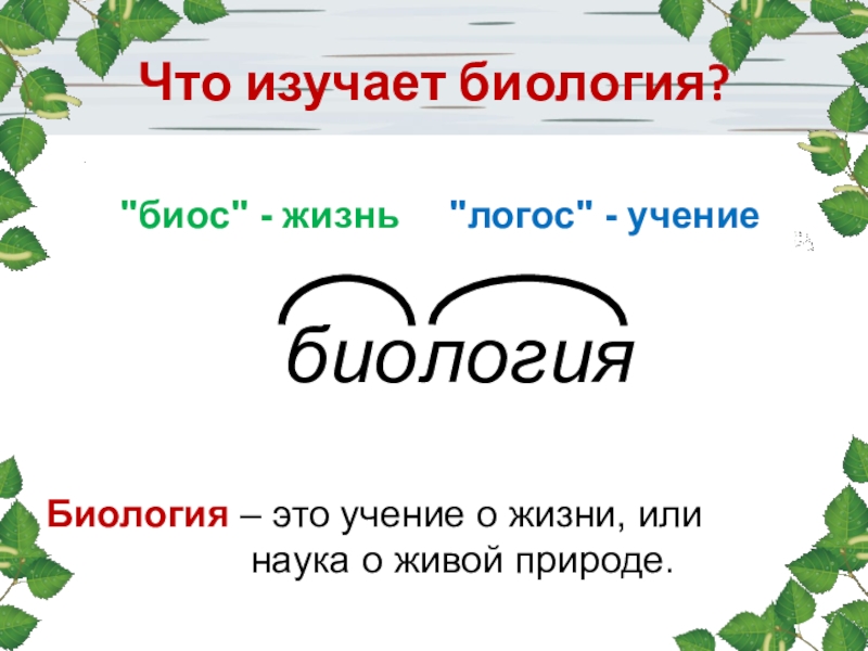 Определение урок в 5 классе презентация