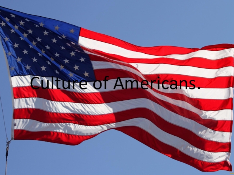 Реферат: What Does The American Flag Mean To