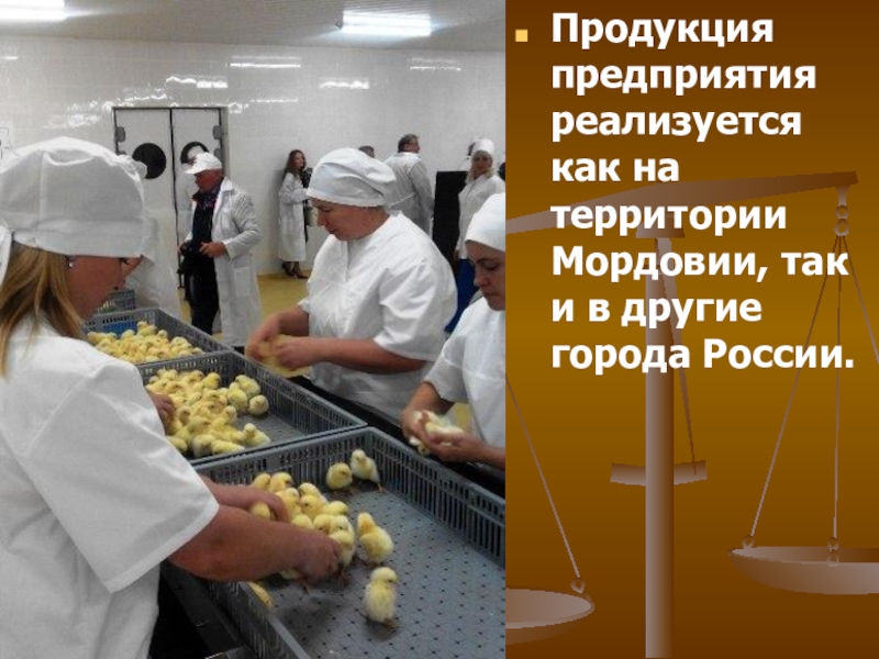 Продукция предприятия реализуется как на территории Мордовии, так и в другие города России.