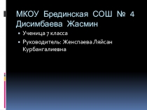 Презентация по английскому языку Лос Анджелес