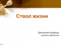 Презентация по биологииСтвол жизни(8 класс)