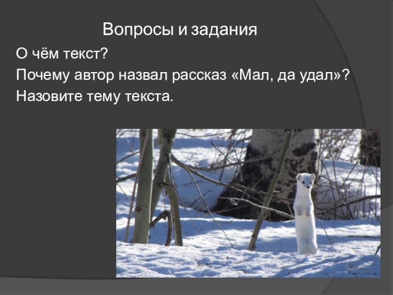 Изложение в бочарникова мал да удал. Рассказ мал да удал. Мал да удал план изложения. Изложение а рассказ мал да удал. План к изложению мал да удал 3 класс.