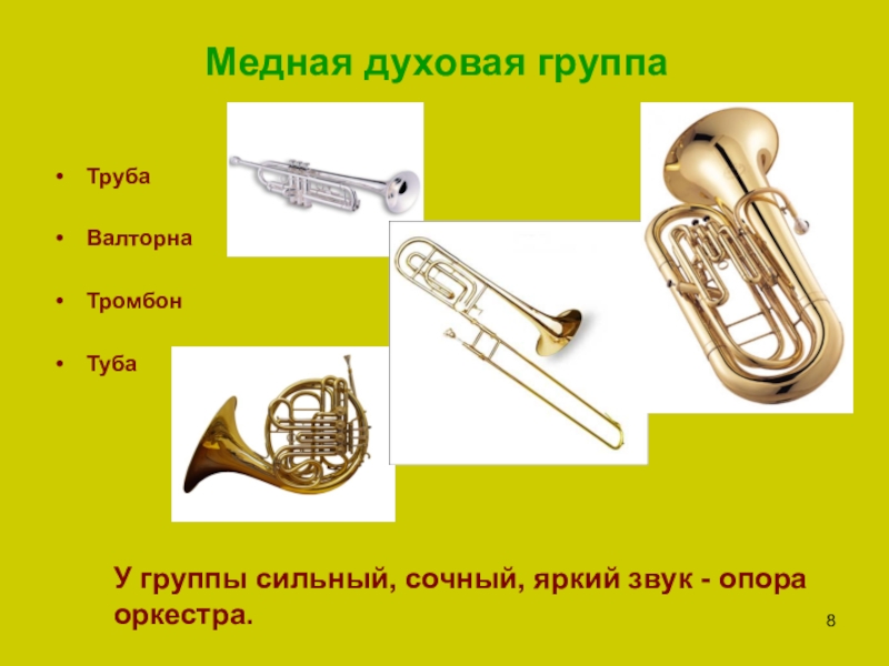 Духовые инструменты с названиями и фото в оркестре