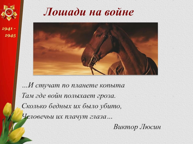 Лошади на войне…И стучат по планете копытаТам где войн полыхает гроза.Сколько бедных их было убито,Человечьи их плачут