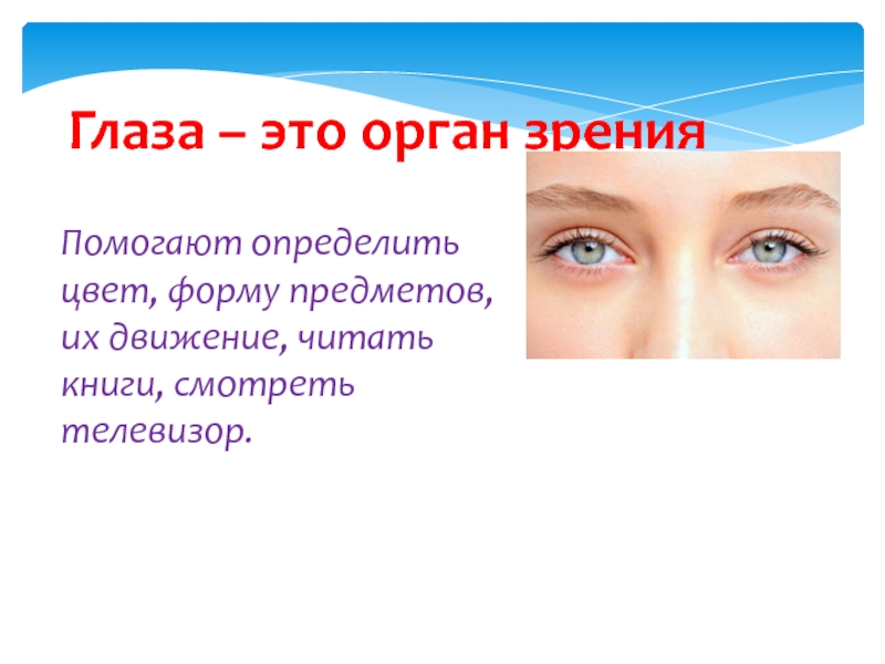 Глаза это орган чувств. Глаза орган зрения. Органы чувств глаза. Органы чувств орган зрения. Зрительная чувство.