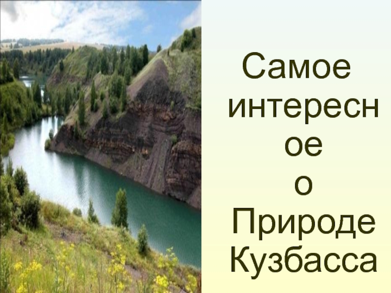 Природа кузбасса презентация