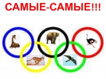 Презентация к развивающему занятию по курсу Окружающий мир.