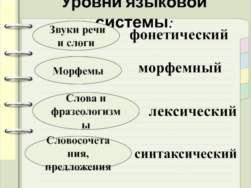 Языковая система это. Уровни языковой системы. Синтаксический уровень языковой системы. Основные уровни языковой системы. Лингвистика уровни языковой системы.