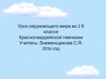 Презентация Разнообразие облаков 2 класс
