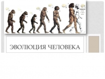 Презентация для учащихся 11х классов на тему Антропогенез