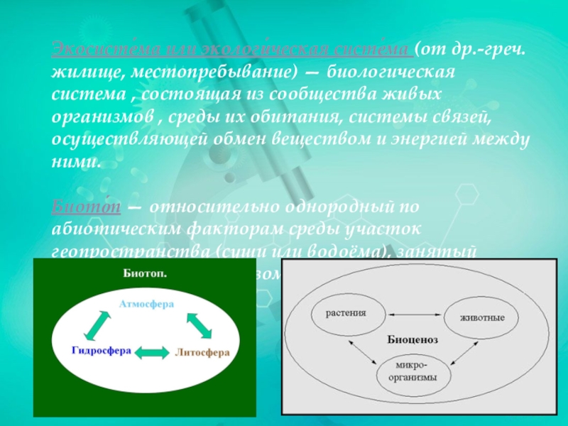 Экосистемное разнообразие и деятельность человека 7 класс презентация